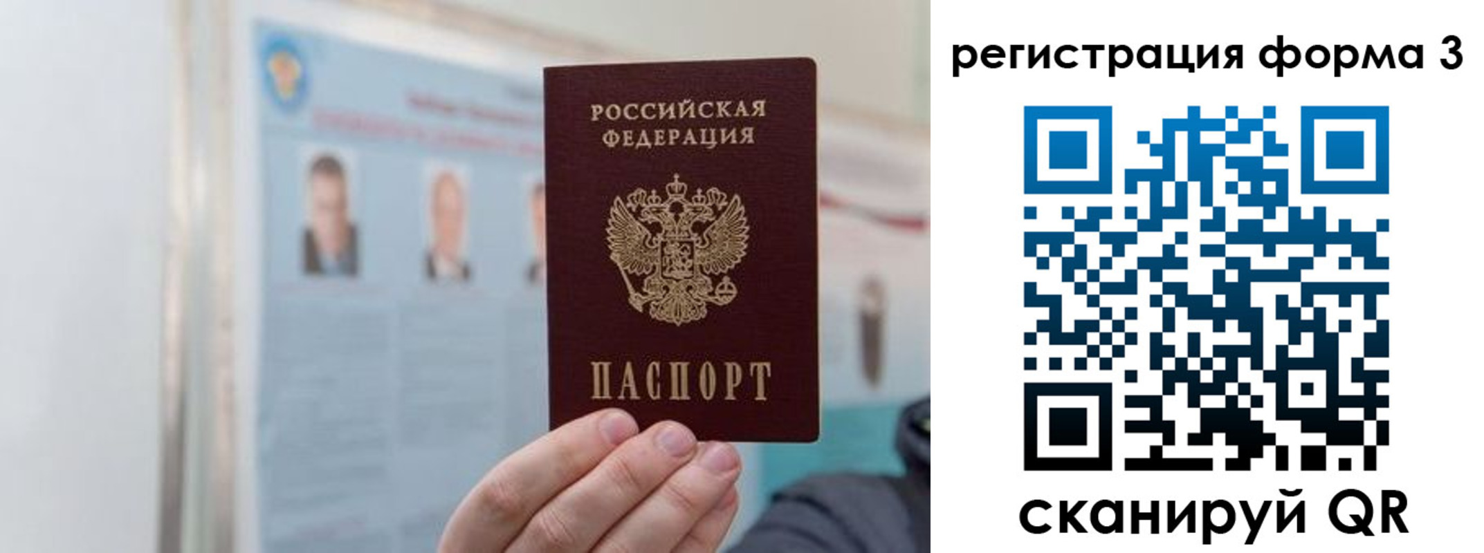 прописка в Владимирской области